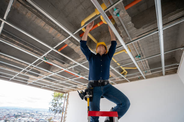 Best Clogged Drain Plumber  in Roselawn, IN