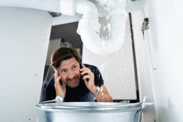 Best Water Leak Repair  in Roselawn, IN