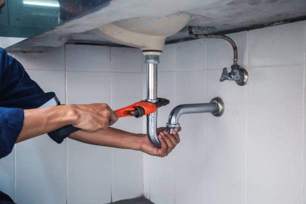 Best Residential Plumbing Services  in Roselawn, IN