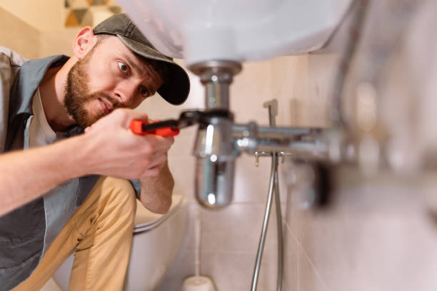 Best Plumbing Services Near Me  in Roselawn, IN