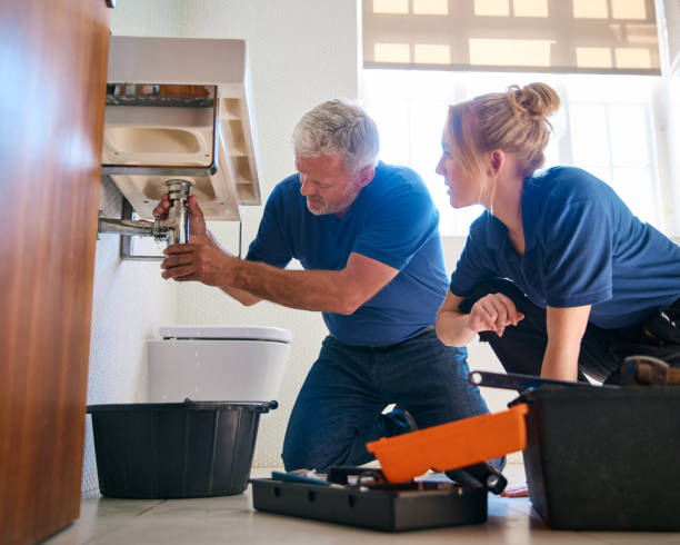 Best Boilers & Radiators  in Roselawn, IN